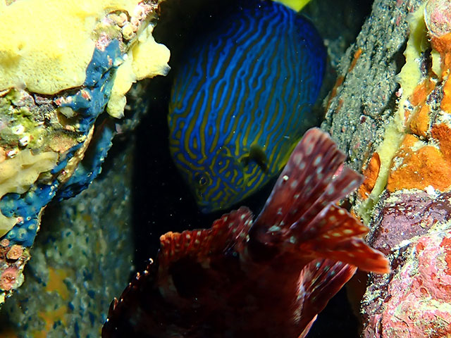 「近い、近いよ〜」photo by M.Kasuga